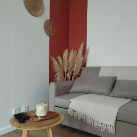 Apartamento Agreable En Plein Centre